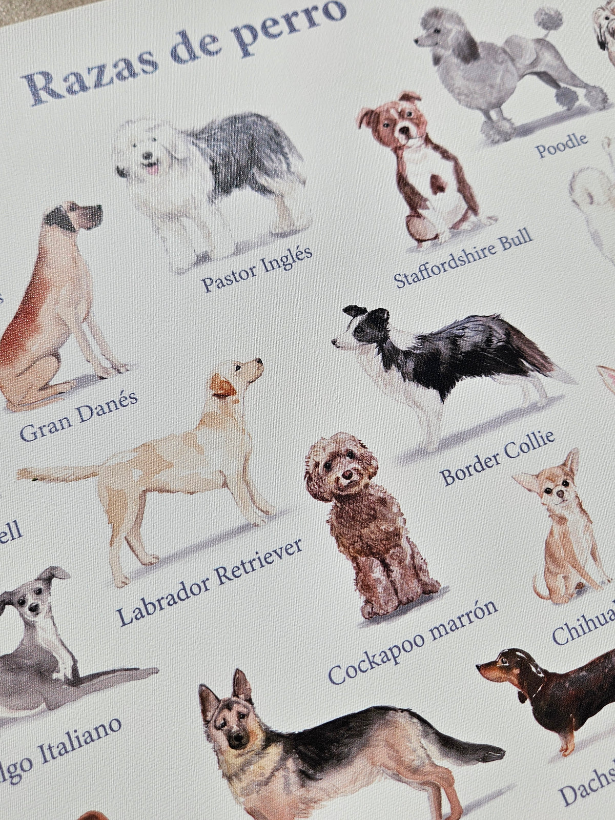 Individual Razas de perro